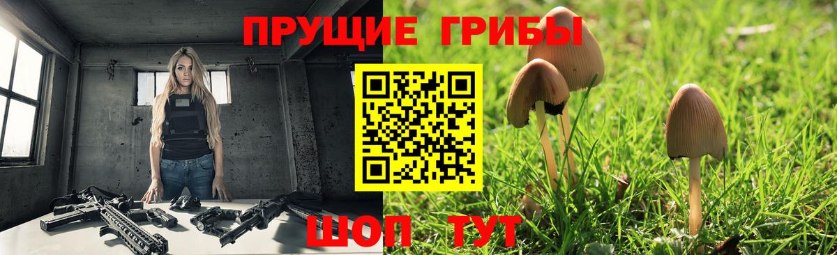 Галлюциногенные грибы GOLDEN TEACHER  продажа наркотиков  Псилоцибиновые грибы Magic Shrooms  Жигулёвск  Вход с VPN 